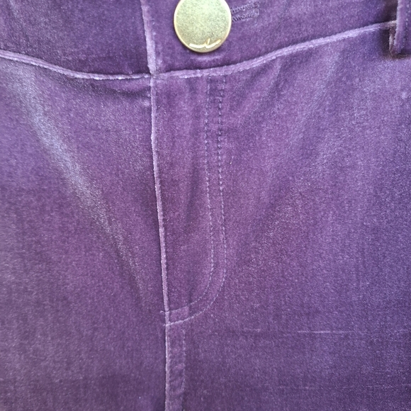 INC International Concepts Lavender Jeggings Plus Sz14 Velour Elastic Skinny - Picture 6 of 7